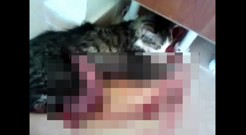 Kedi katili M.Can Aksoy'ı En ağır Cezalara Carptırılsın