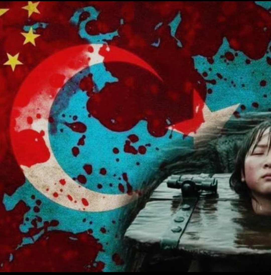 Doğu Türkistan'a Ses Ol