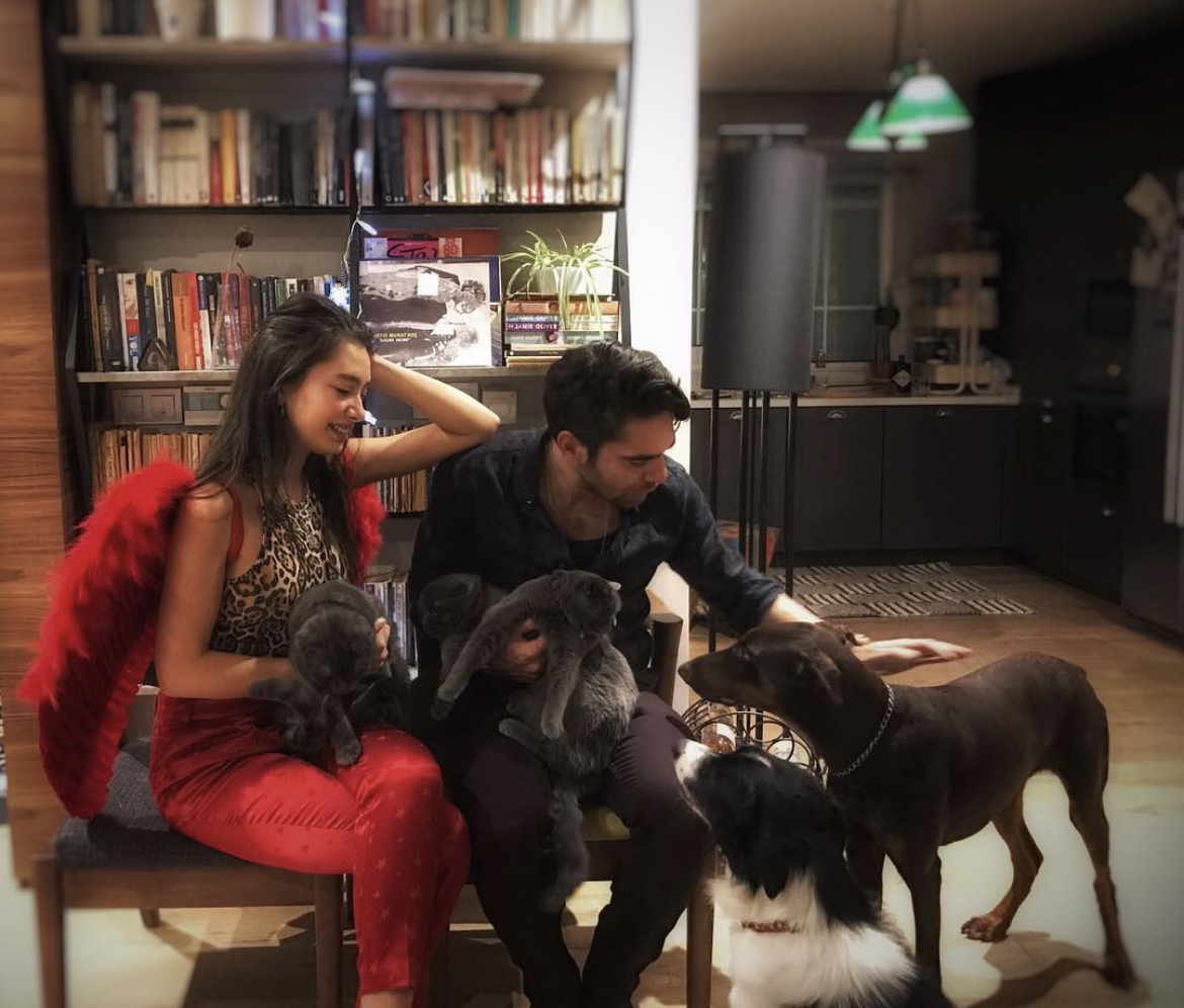 Sokak hayvanlarına yardım imza kampanyası 